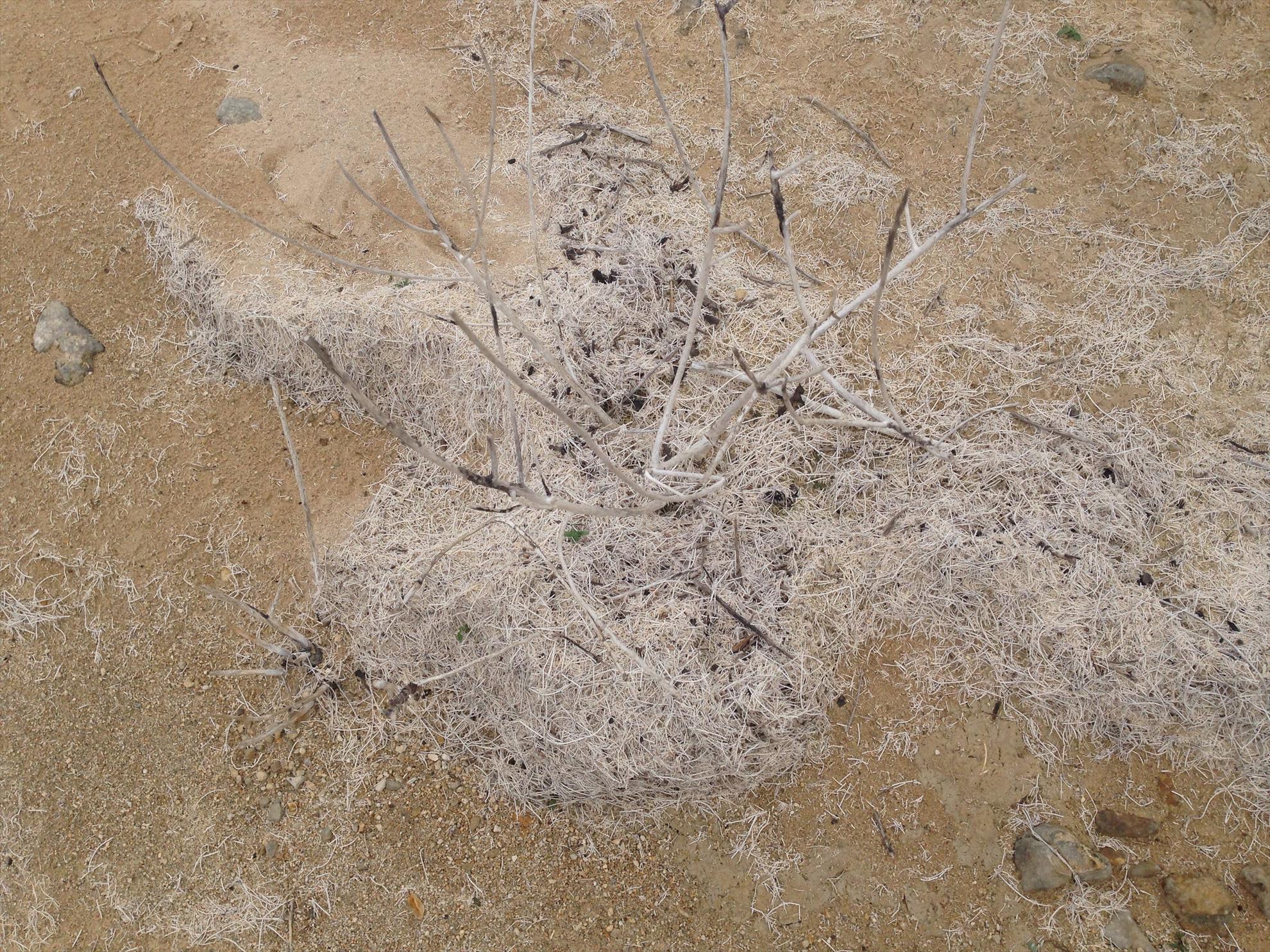 2013 - Spania  - image1111111111.jpg